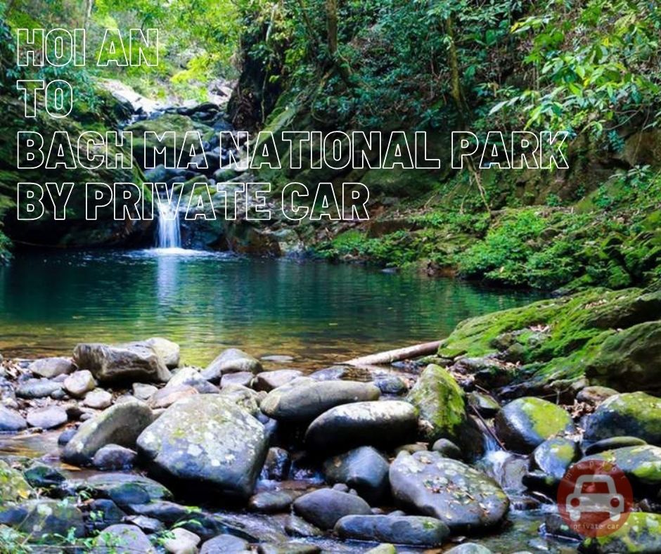 Hoi An to Bach Ma National Park by private car