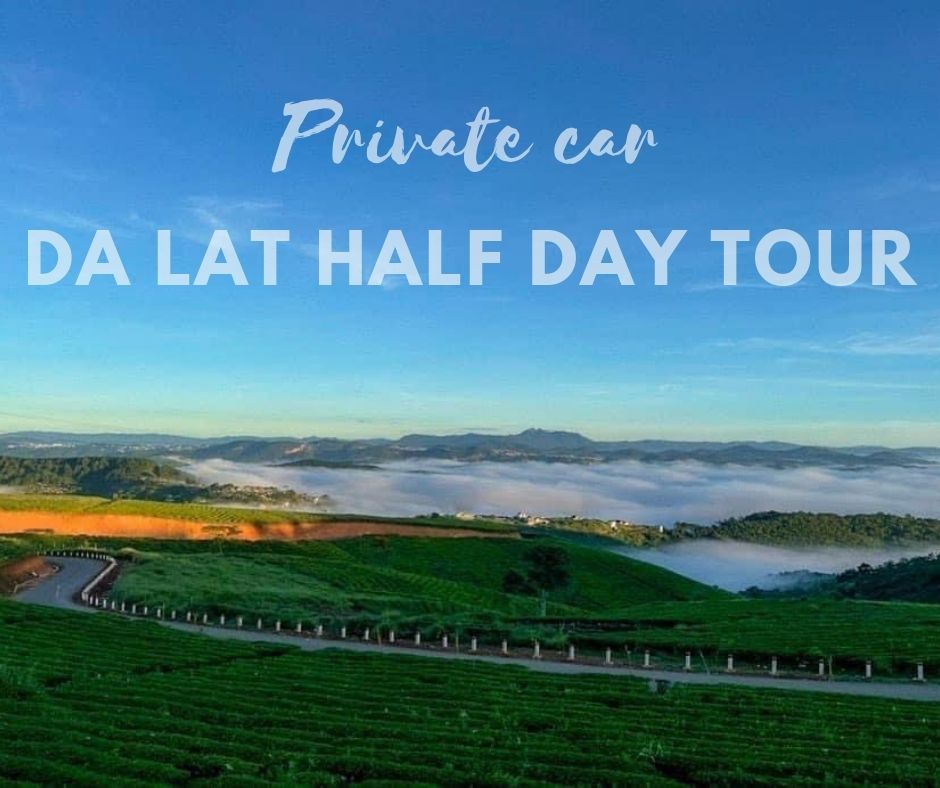 Da Lat half day tour by private car