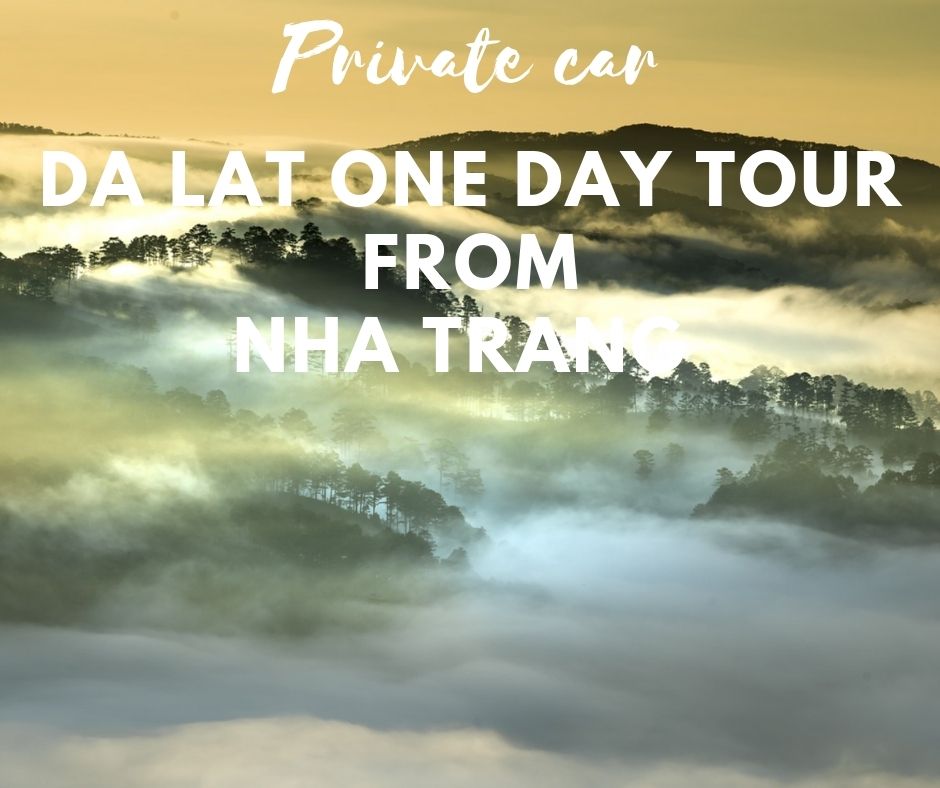 Da Lat one day tour from Nha Trang by private car